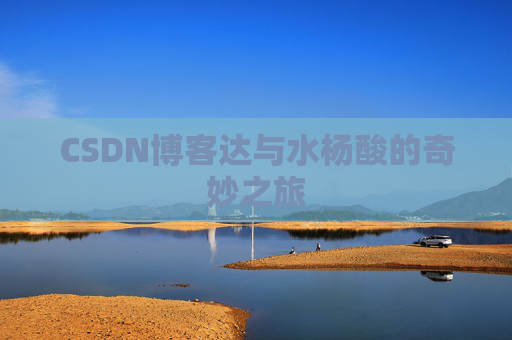 CSDN博客达与水杨酸的奇妙之旅